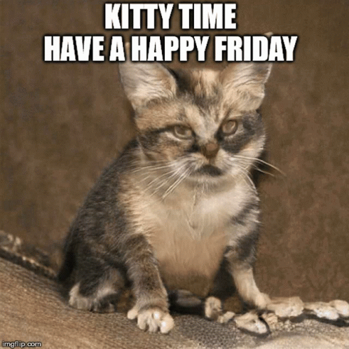 Cat Happy Friday Meme GIF