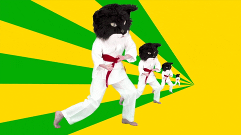 Cat Head Karate Music Video Fighting Chop GIF