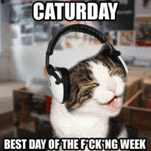 Cat Headphones Saturday Best Day of Fucking Week