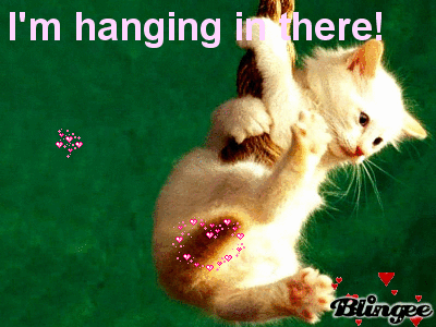 hang in there kitten gif