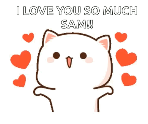 Cat Hearts I Love You So Much Sam!
