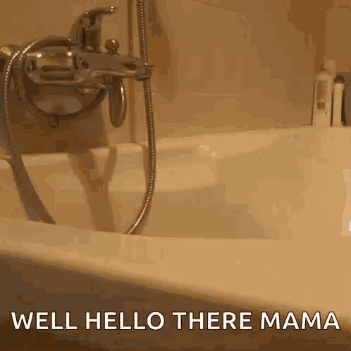 Cat Hello There Mama GIF