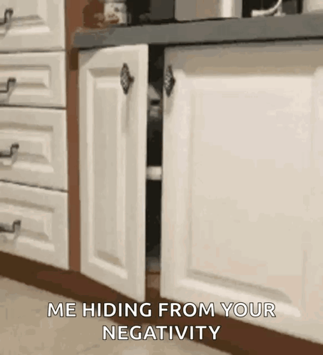 Cat Hiding Behind Cabinet Door GIF