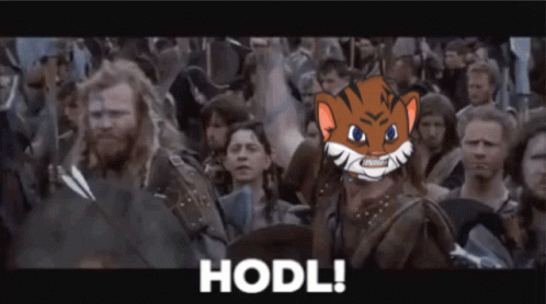 Cat Hodl