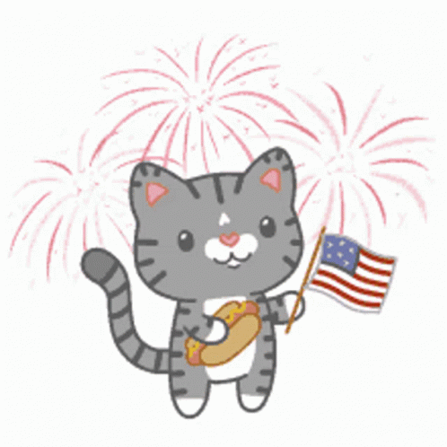 Cat Holding American Flag And Hot Dog GIF