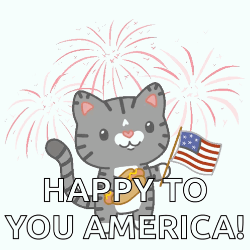 Cat Holding American Flag Happy To You America