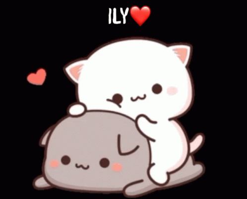 Cat Holding Another Cat Saying Ily