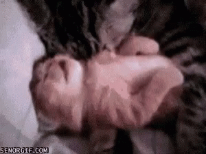 Cat Holding Baby on Bed