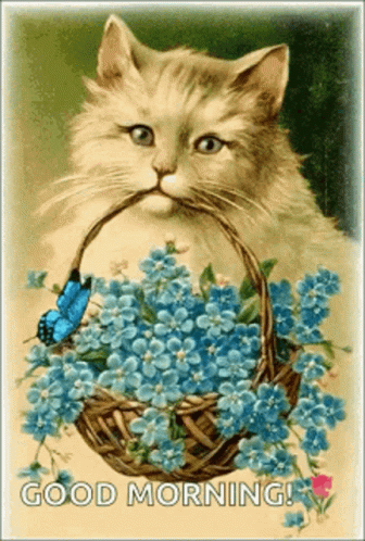 Cat Holding Basket Of Blue Flowers With Butterfly GIF