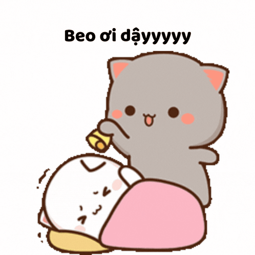 Cat Holding Bell Beo Oi Dayyyy