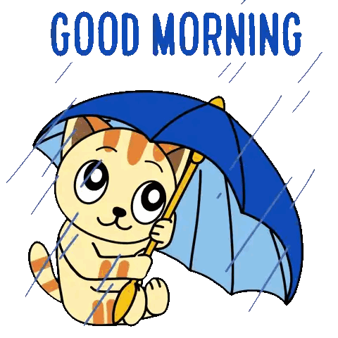 Cat Holding Blue Umbrella in Rain
