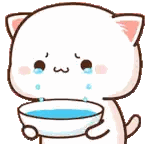 Cat Holding Bowl of Water Crying