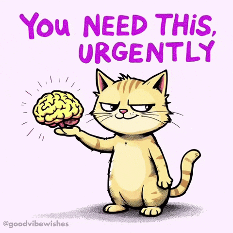 Cat Holding Brain Urgently GIF