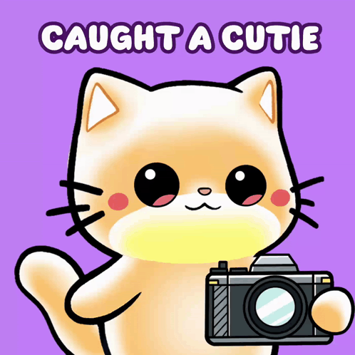 Cat Holding Camera Saying Caught a Cutie