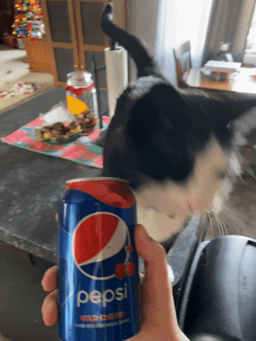 Cat Holding Cherry Pepsi Can