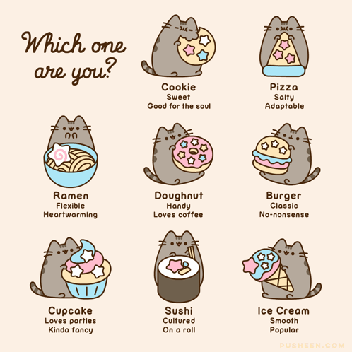 Cat Holding Cookie Doughnut Which One Are You GIF