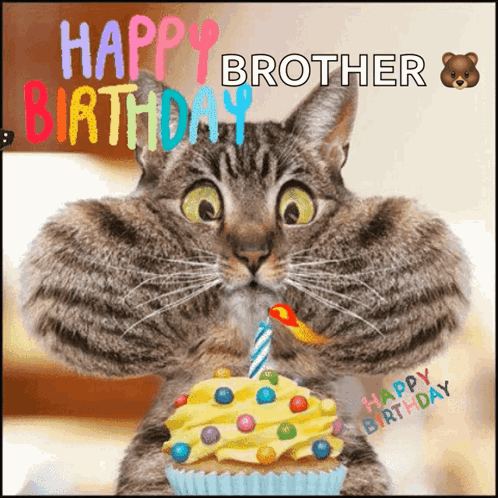Cat Holding Cupcake With Candle Happy Birthday