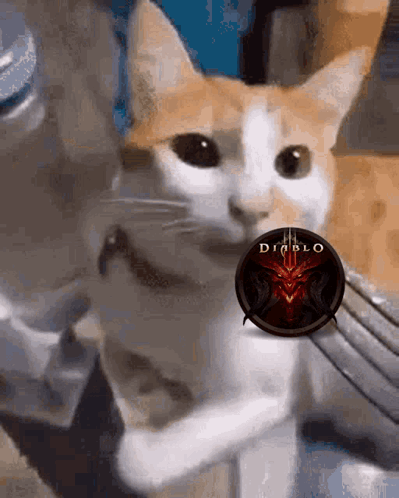 Cat Holding Diablo 3 Logo in Mouth