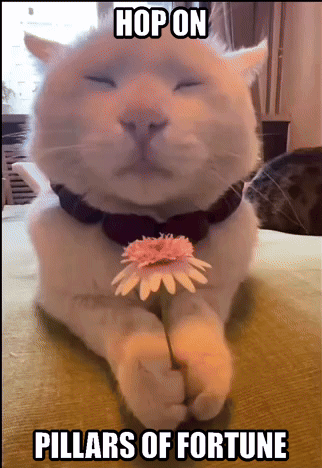 Cat Holding Flower Hop on Pillars of Fortune