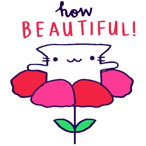 Cat Holding Flower Saying How Beautiful