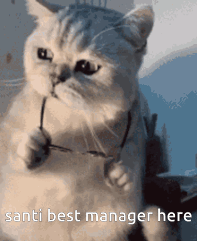 Cat Holding Glasses Saying Santi Best Manager Here