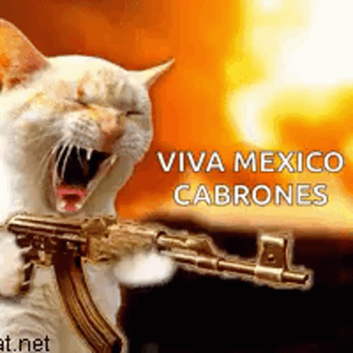 Cat Holding Gun Viva Mexico Cabrones GIF