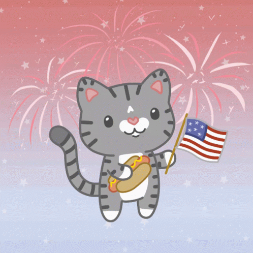 Cat Holding Hot Dog and American Flag With Fireworks