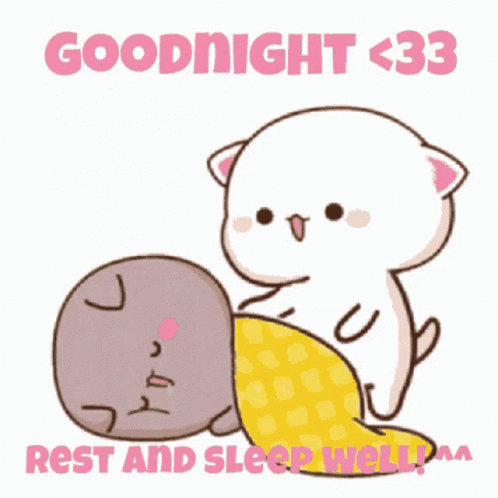 Cat Holding Pillow Over Sleeping Cat Goodnight <33 Rest and Sleep Well