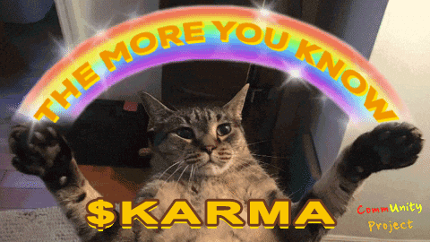 Cat Holding Rainbow The More You Know $Karma GIF