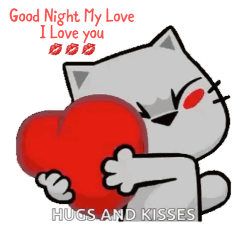 Cat Holding Red Heart Saying Good Night My Love I Love You Hugs and Kisses