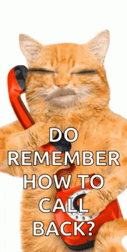 Cat Holding Red Telephone Do Remember Call Back GIF