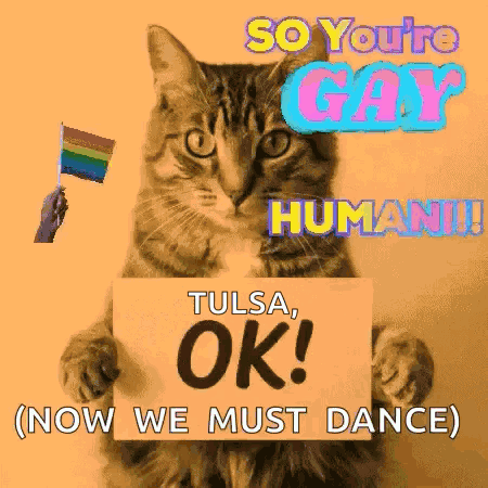 Cat Holding Sign Saying OK Tulsa