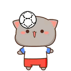 Cat Holding Soccer Ball on Head