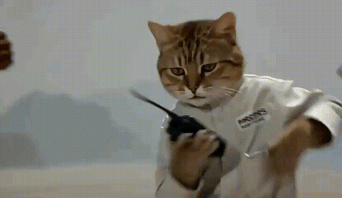 Cat Holding Walkie Talkie With Chris Name Tag