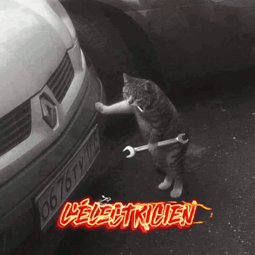 Cat Holding Wrench Beside Car L' Electricien