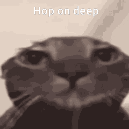 Cat Hop On Deep GIF