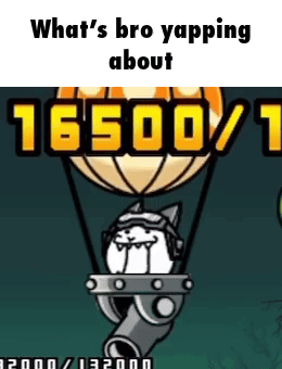 Cat Hot Air Balloon What's Bro Yapping About