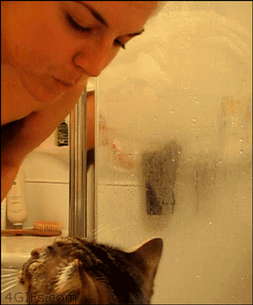 Cat Hug Kiss Mom On Face GIF