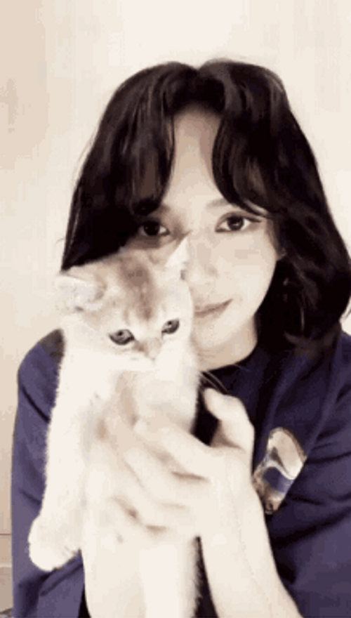 Cat Hug Lalisa Manoban Blackpink Kiss GIF