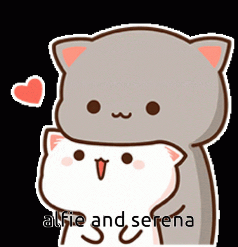 Cat Hugging Another Cat Alfie And Serena GIF