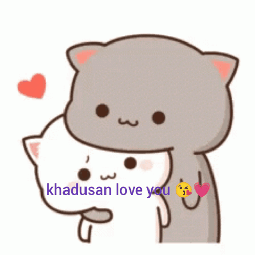 Cat Hugging Another Cat Khadosan Love You