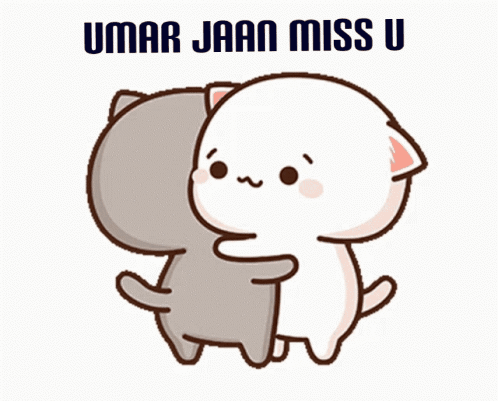 Cat Hugging Another Cat Umar Jaan Miss U