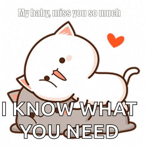 Cat Hugging Another Cat With My Baby Miss You So Much I Know What You Need