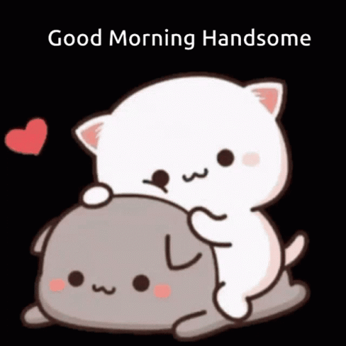 Cat Hugging Another Good Morning GIF