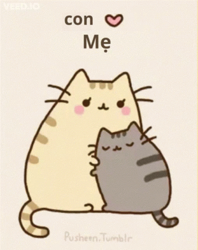 Cat Hugging Another With Con Me