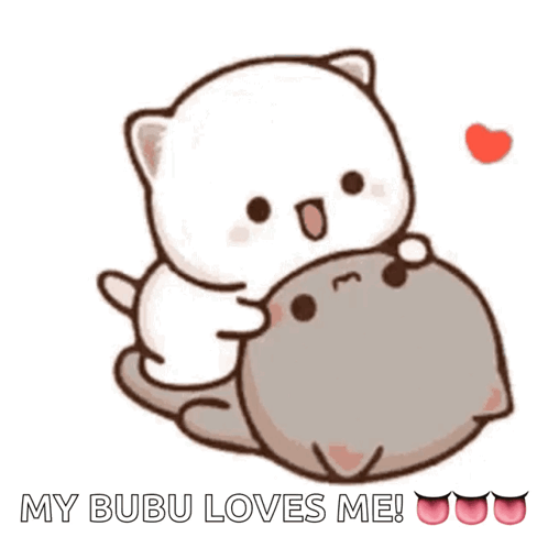 Cat Hugging Another With My Bubu Loves Me