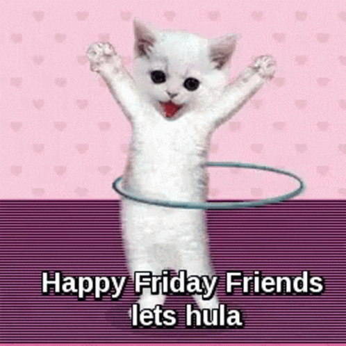 Cat Hula Hooping Happy Friday GIF