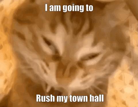 Cat I Am Going To Rush My Town Hall