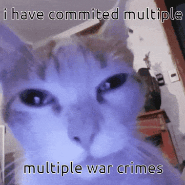 Cat I Have Committed Multiple Multiple War Crimes GIF