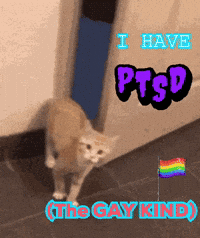 Cat I Have PTSD the Gay Kind
